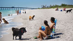 Beach nearby, sun-loungers, beach towels