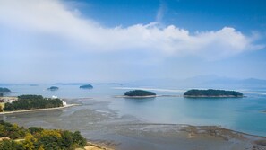 해변