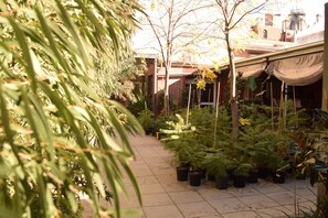 A garden area with potted plants and a pathway. - Crown Accommodation Bendigo CBD (Bendigo)