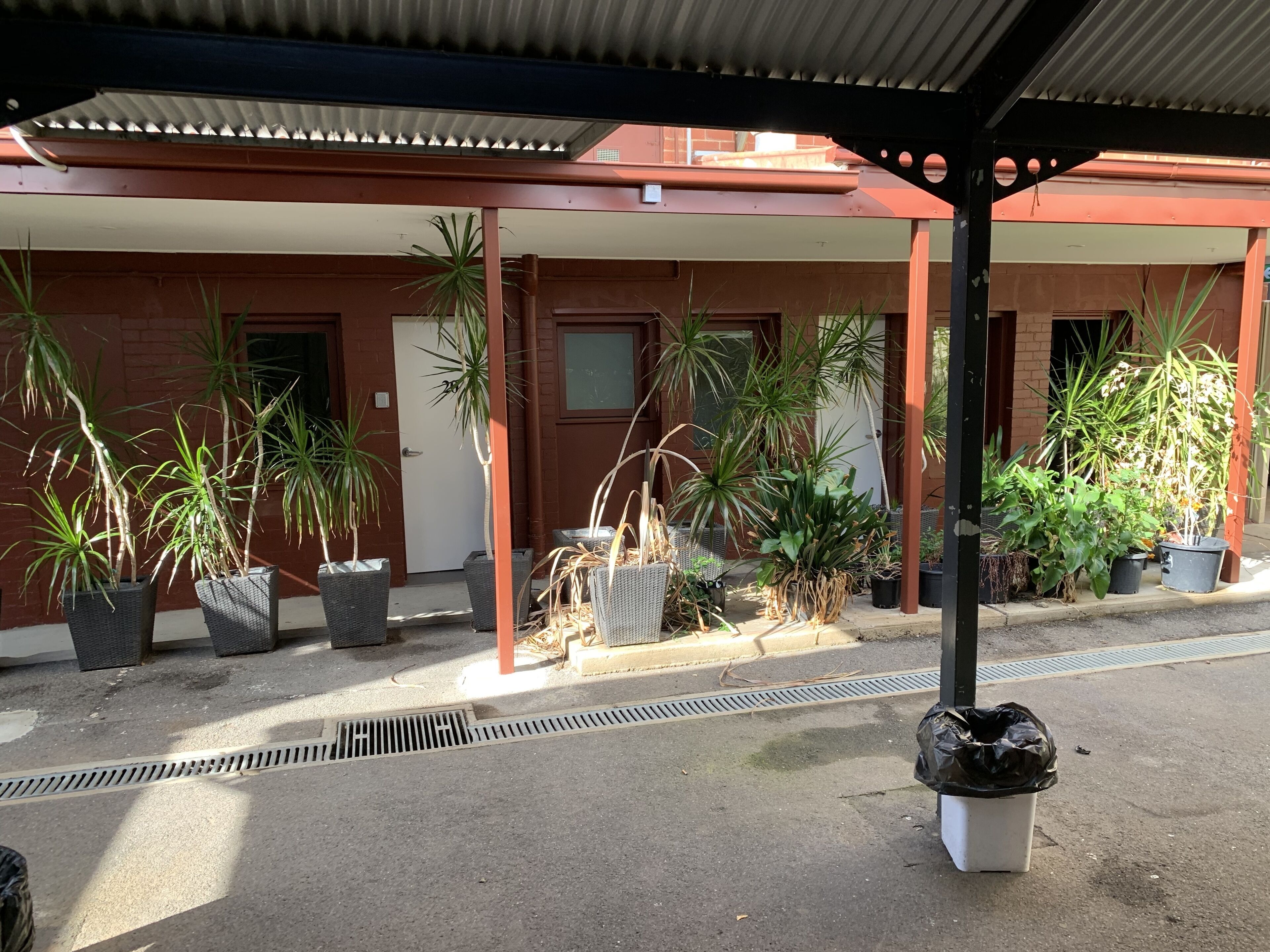 Un espacio al aire libre cubierto con plantas en macetas y un bote de basura.