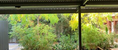 A covered patio with a wooden table and benches, surrounded by lush greenery and trees.