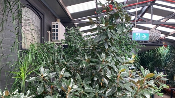 Invernadero con diversas plantas en macetas y un cartel que indica una salida.