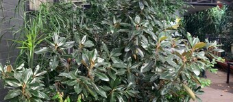 Crown Accommodation Bendigo CBD