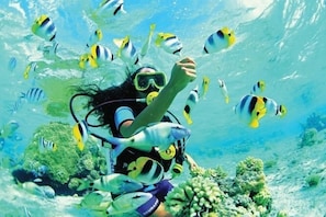 Un buceador rodeado de peces tropicales en una escena submarina.