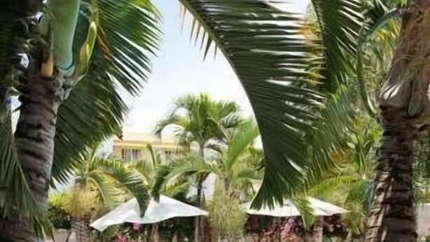 A pool area with palm trees, lounge chairs, and umbrellas. - Explora Prestige (Blue Bay)