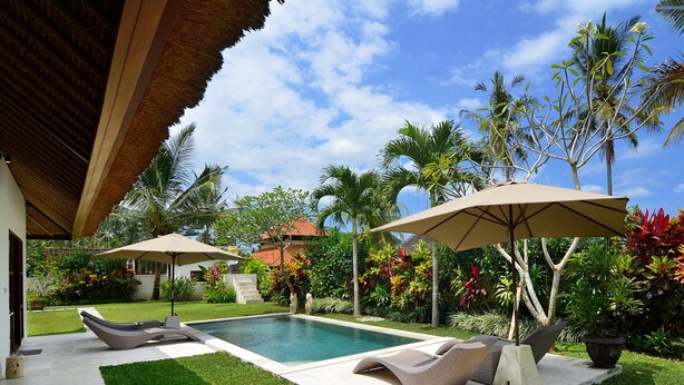 Un área de piscina con sillones de descanso y sombrillas, rodeada de plantas tropicales y un cielo despejado.
