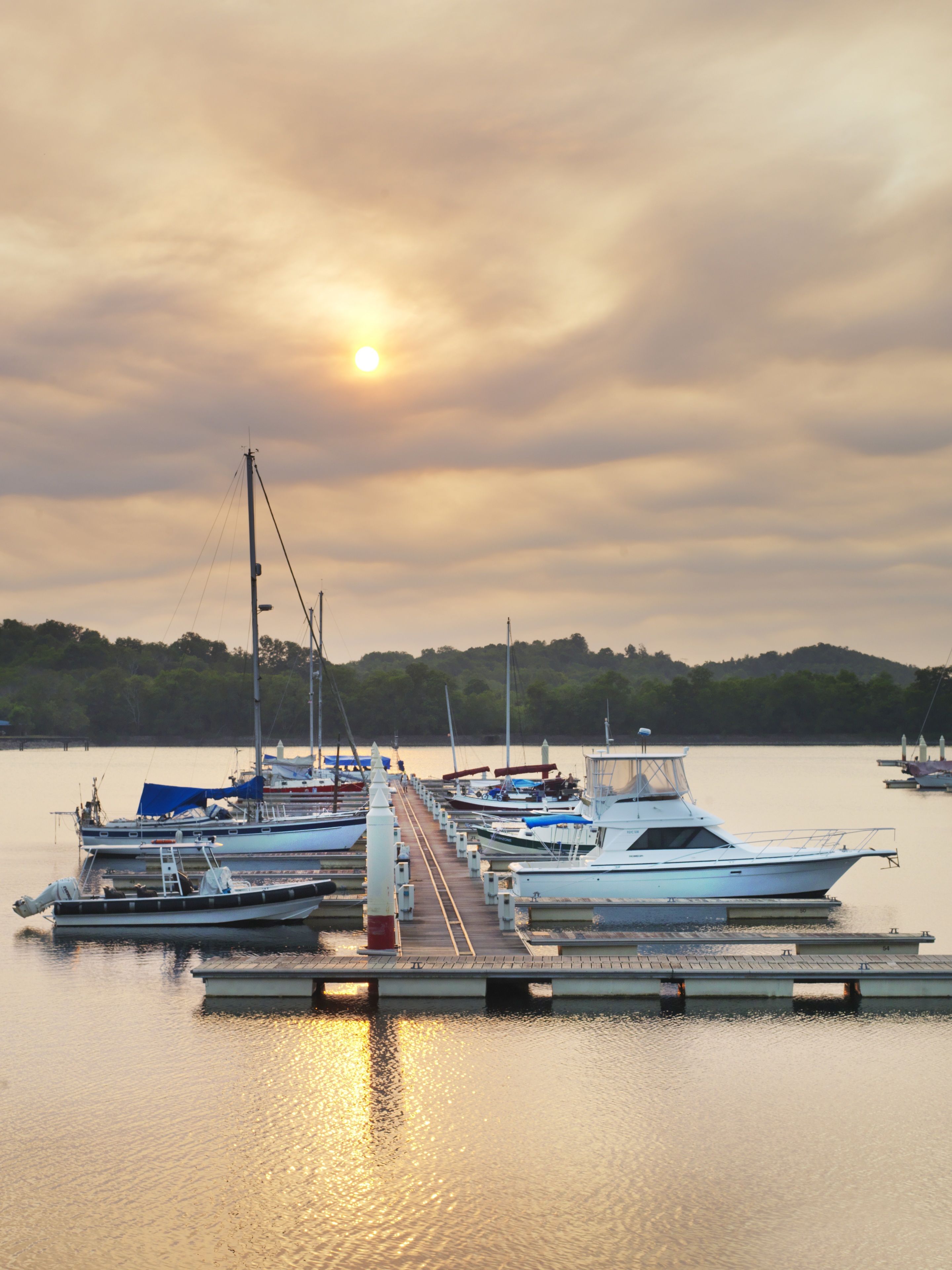 Dock