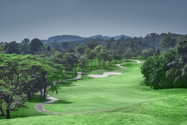Un campo de golf con un camino sinuoso, rodeado de exuberante vegetación y árboles.