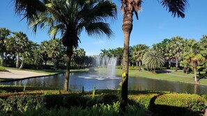 Vue depuis l’hébergement