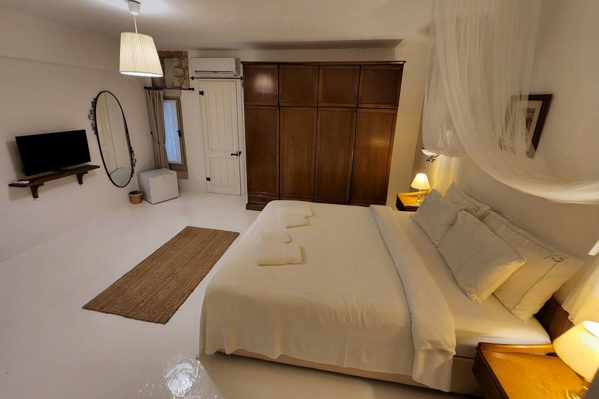 Un dormitorio con cama, televisor, armario y espejo.
