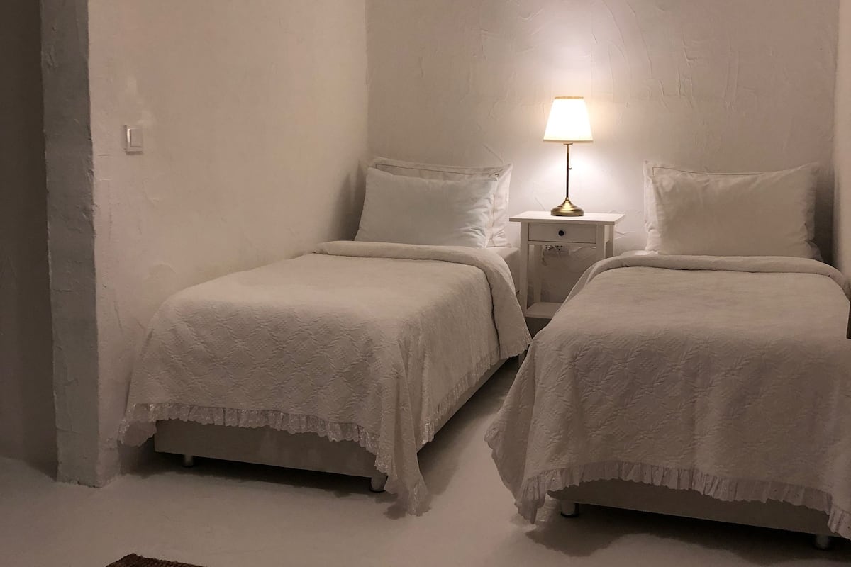 Economy İki Ayrı Yataklı Oda, 2 Tek Kişilik Yatak, Penceresiz, Zemin Kat | Minibar, odada kasa, ütü/ütü masası, ücretsiz kablosuz İnternet