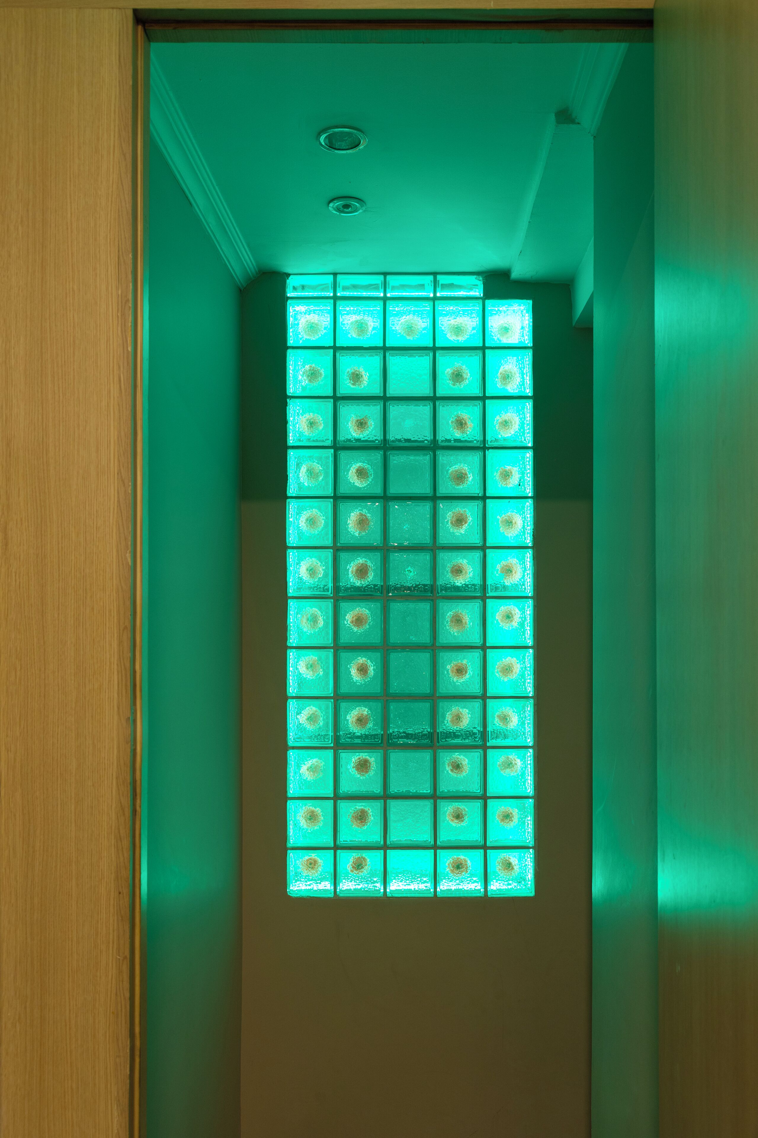 Foto - Classes Hotel Airport