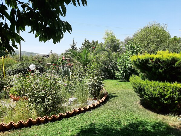 Jardim