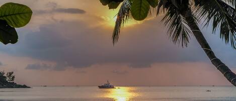 A sunset over a calm sea with a boat in the distance and palm trees framing the scene.