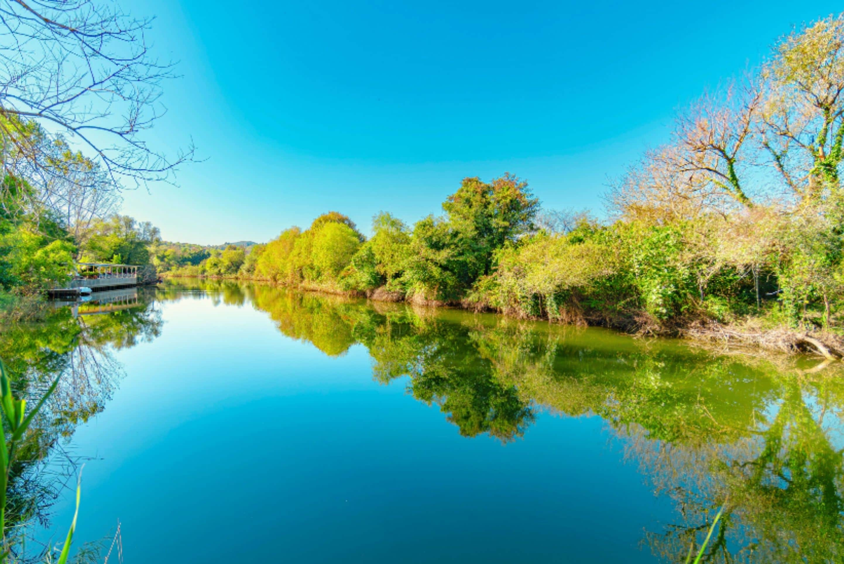 A calm river with a boat, surrounded by lush greenery and trees.