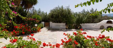 A garden with red flowers and a white car parked in the background.