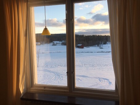 Vista desde la habitación