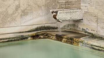 Sauna, hot tub, steam room, hot springs, Turkish bath, body treatments