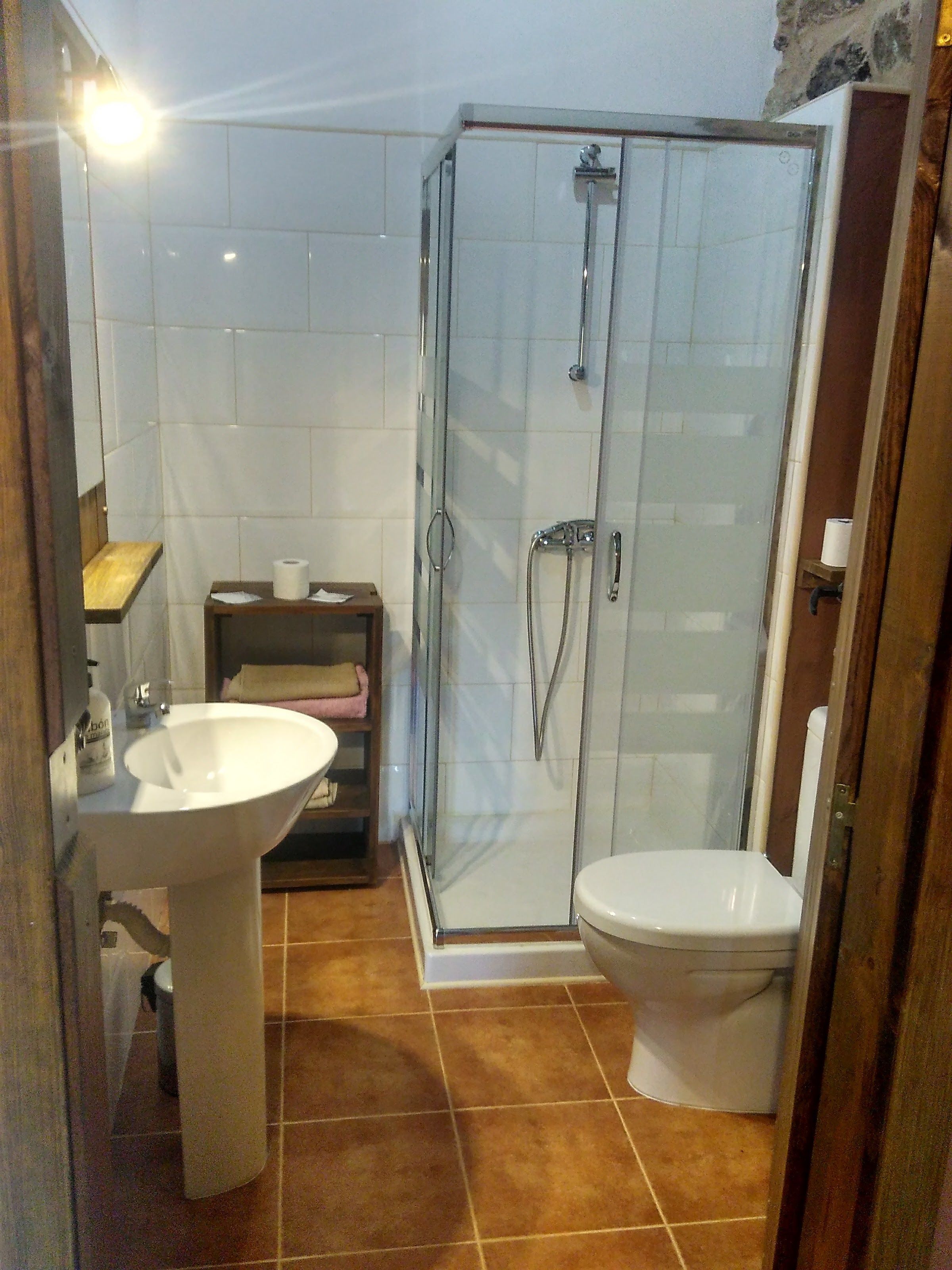 Un baño con ducha envuelta en vidrio, un lavamanos y un inodoro.