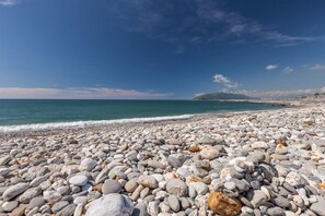 ビーチ / オーシャン ビュー