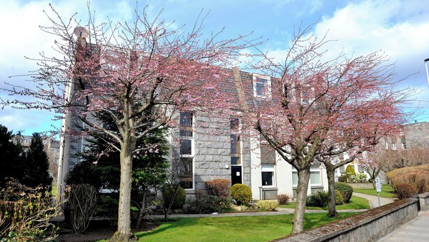 A stone building with a well-maintained lawn and trees with pink blossoms. - Home from Home Aberdeen (Aberdeen)