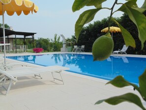Outdoor pool, pool umbrellas, sun loungers