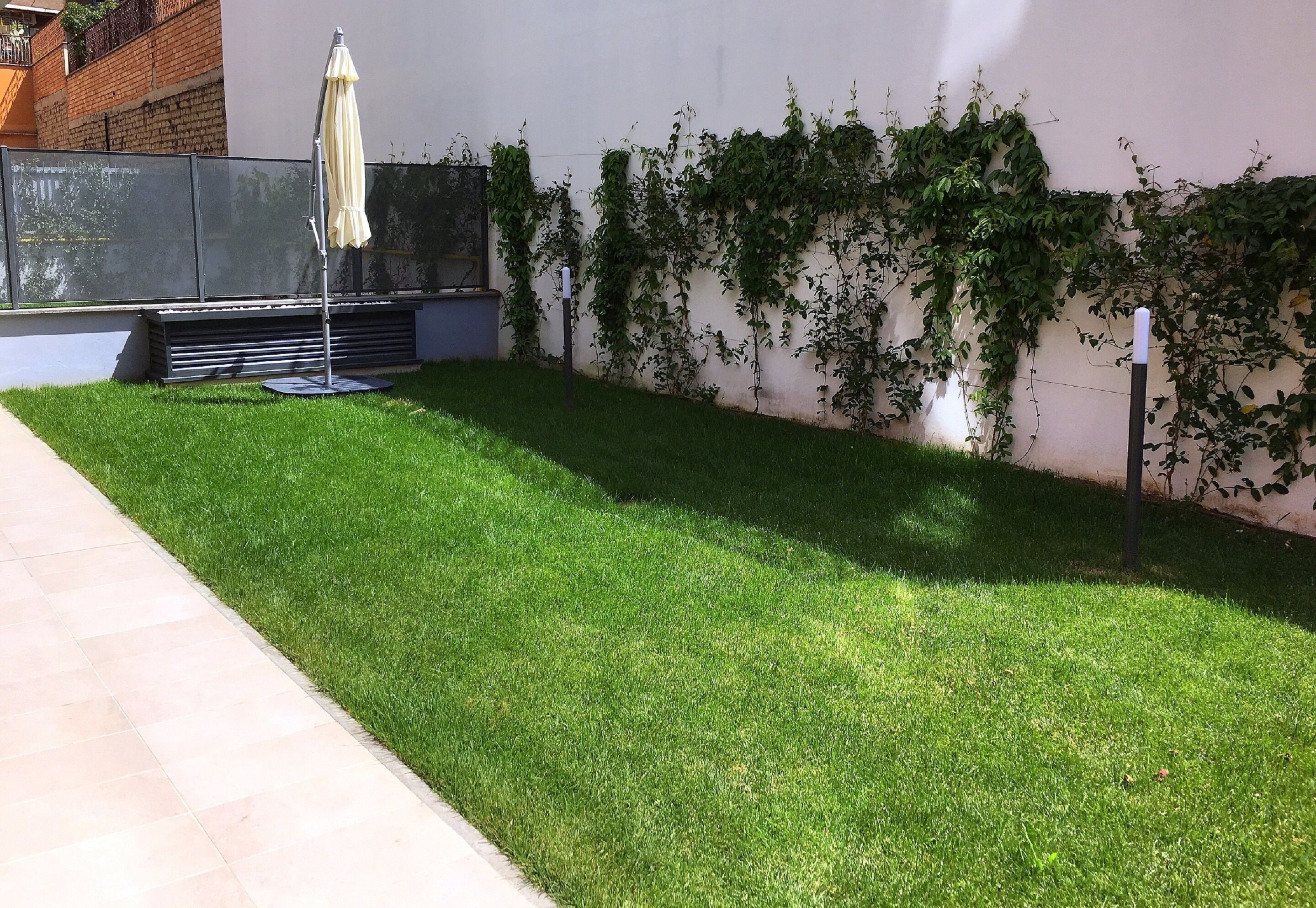 Un área verde bien cuidada con un sendero pavimentado, una cerca metálica y un muro cubierto de plantas trepadoras.