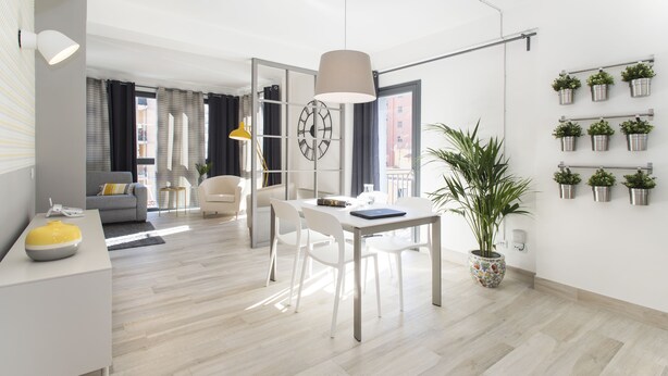 Una sala moderna con comedor, una planta grande en maceta y una estantería para plantas montada en la pared.