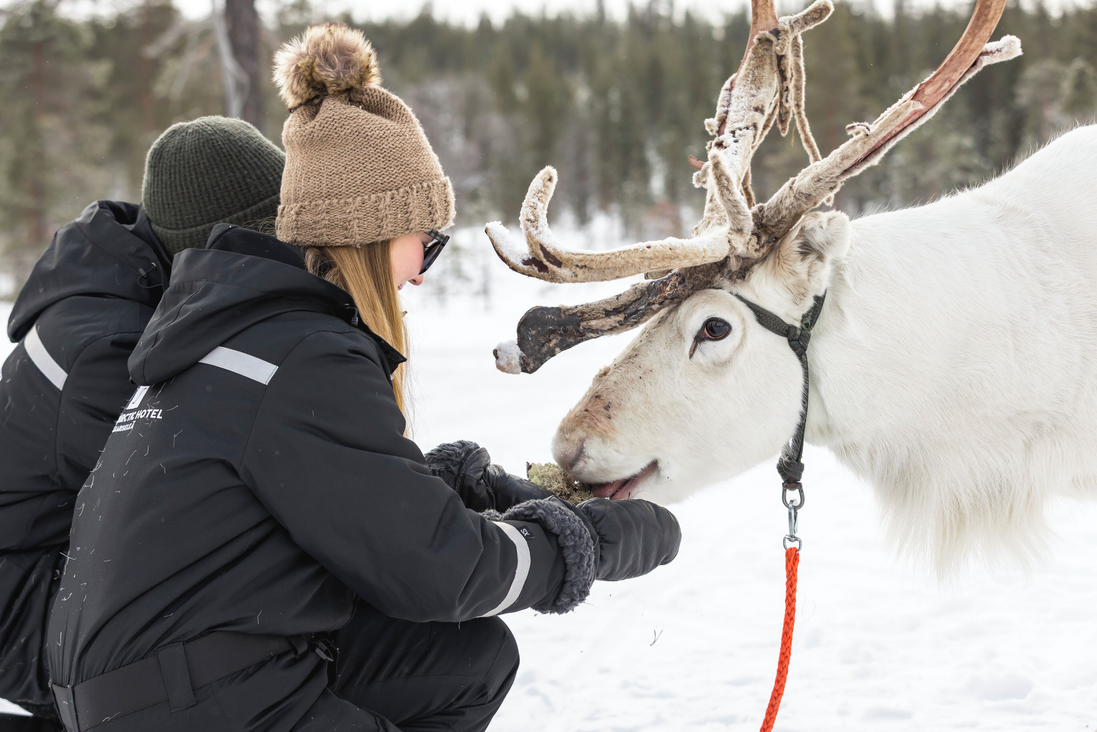 A person in winter clothing interacting with a reindeer.