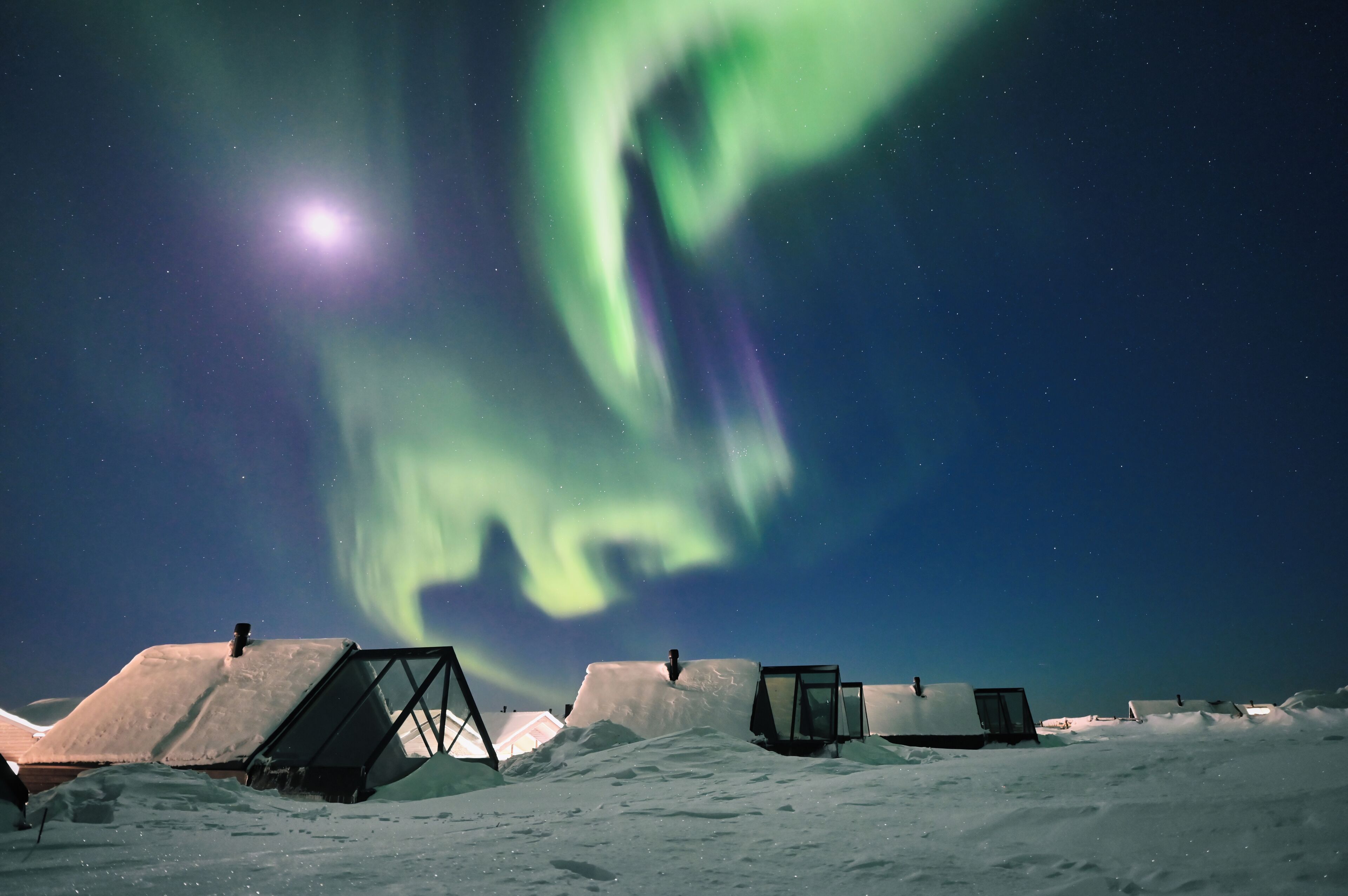 aurora cabin  | courtyard view