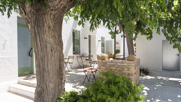 An outdoor seating area with a table and chairs, surrounded by greenery and a tree. - Hostal Cling 43 (Deltebre)