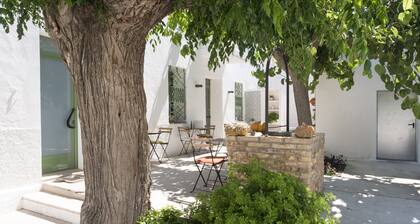 Hostal Cling 43