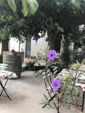 Exterior - Hostal Cling 43 (Deltebre)