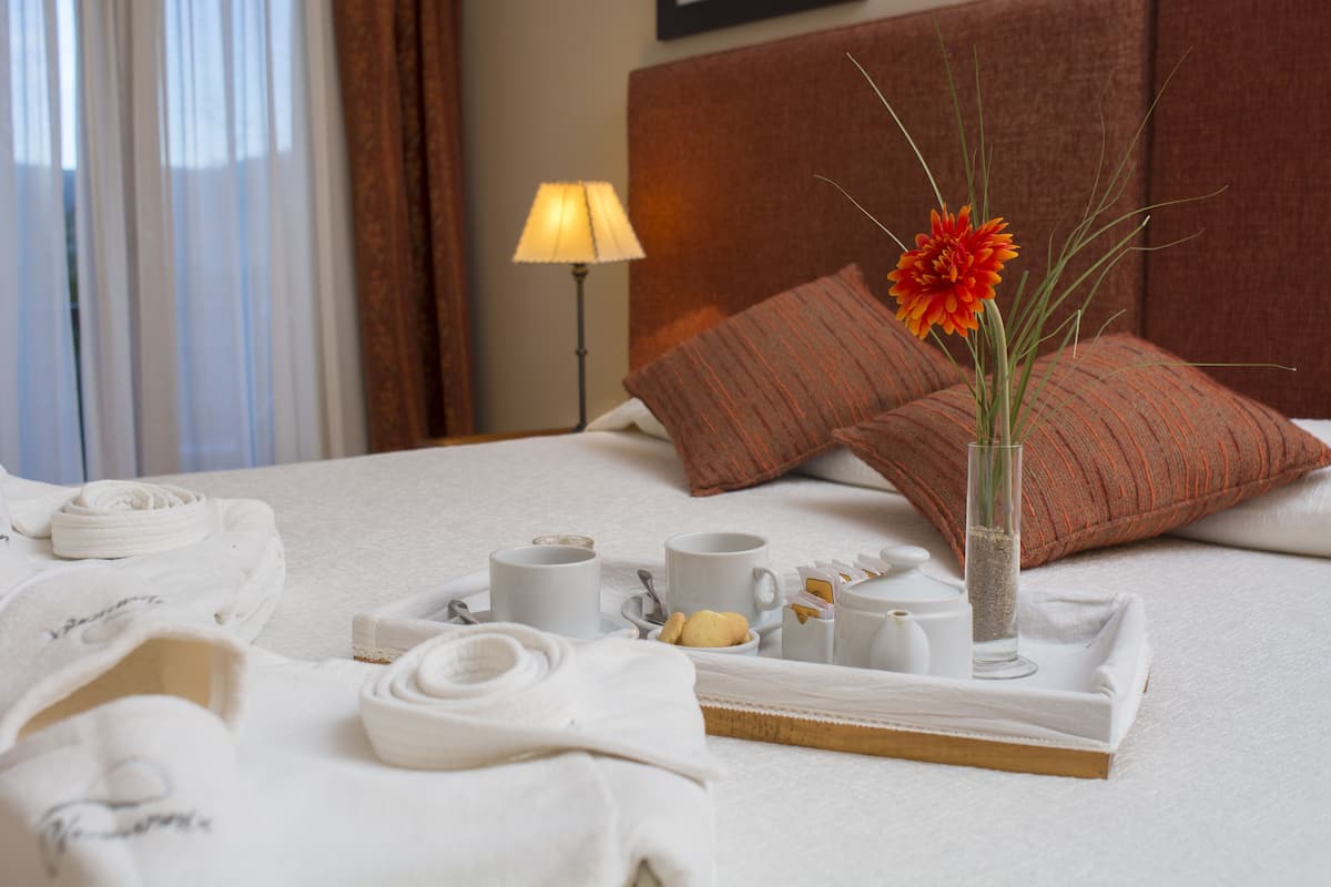 มินิบาร์, ตู้นิรภัยในห้องพัก, เตารีด/โต๊ะรีดผ้า, เปล/เตียงเด็กอ่อน (ฟรี)