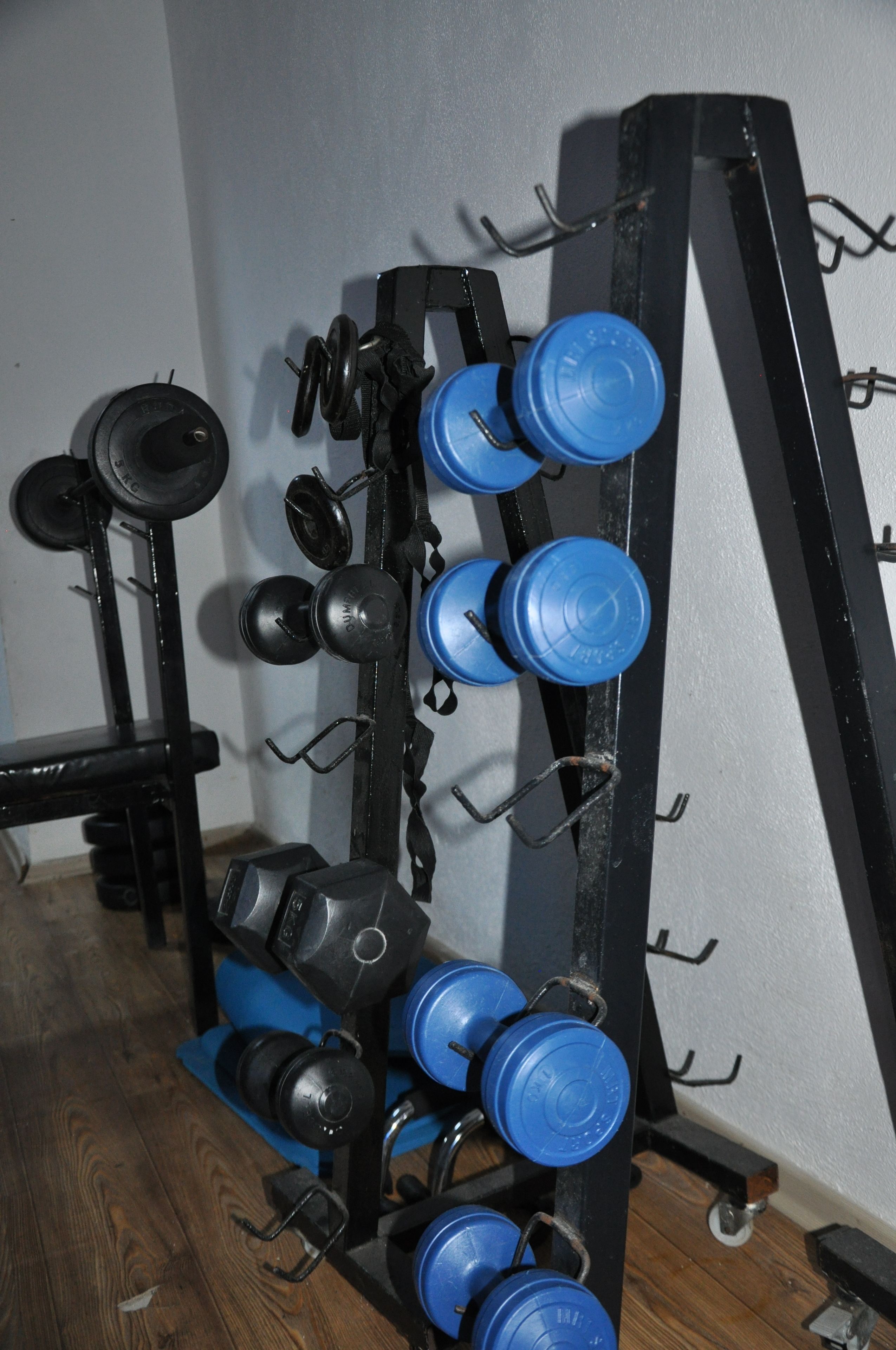 A rack with blue and black dumbbells and weight plates against a wall.