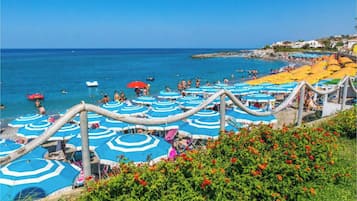 Sillas reclinables de playa, sombrillas, toallas de playa
