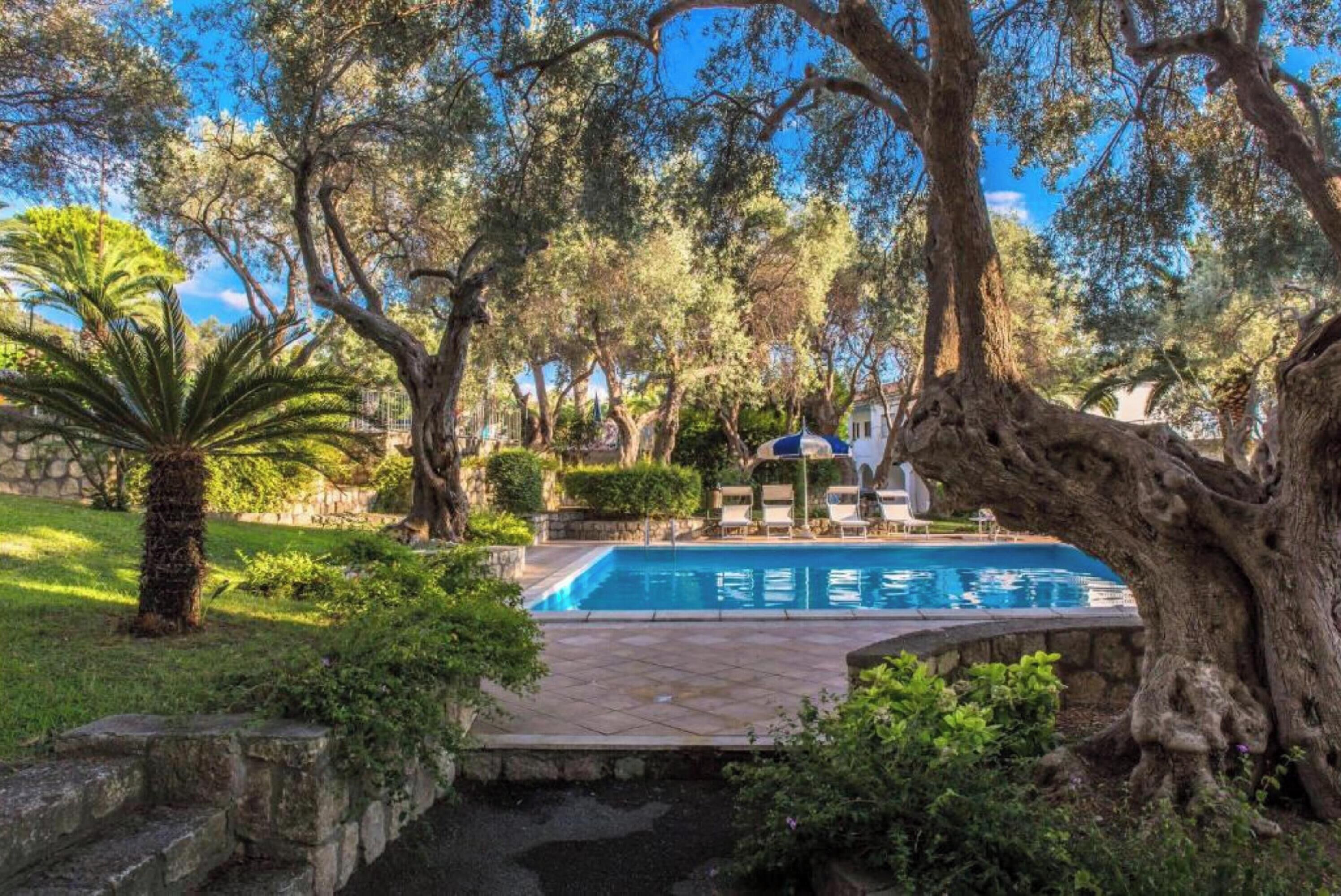 Seasonal outdoor pool, pool umbrellas, pool loungers