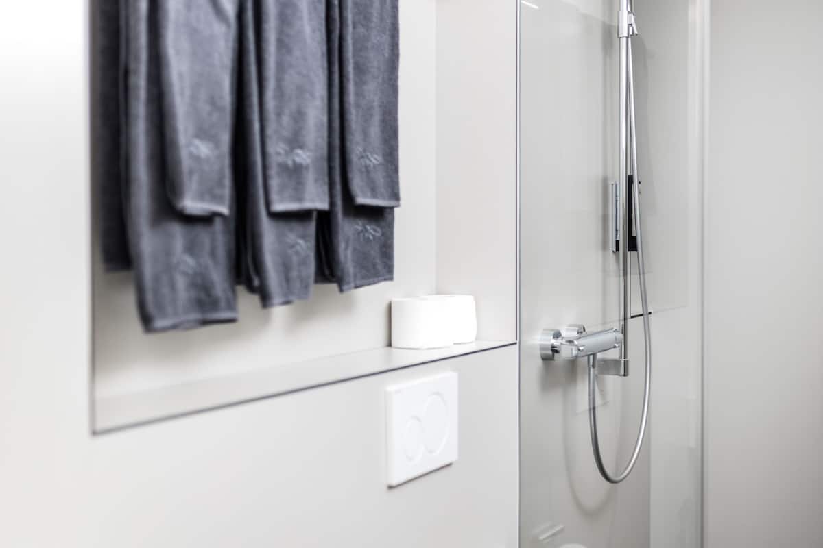 shower, free toiletries, hair dryer, towels