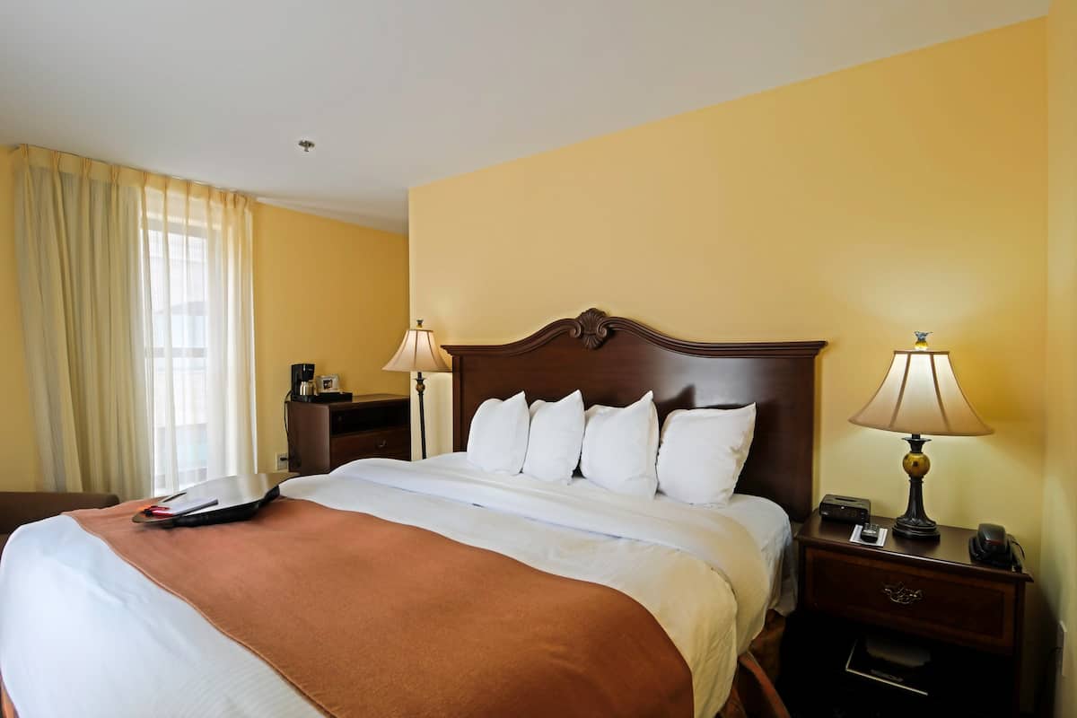 Suite, 1 letto queen con divano letto | 1 camera, biancheria da letto di alta qualità, una cassaforte in camera