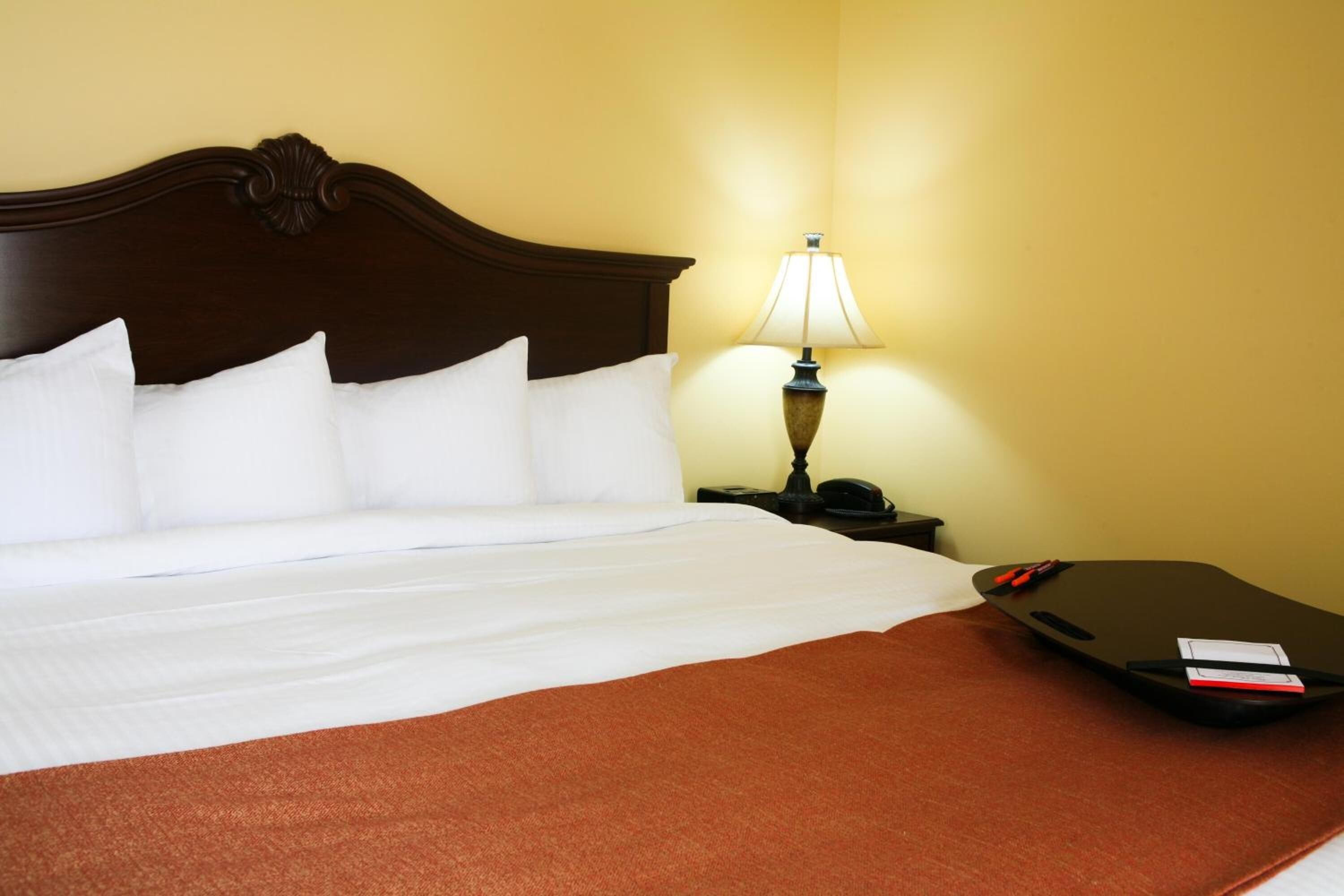 suite, 1 queen bed with sofa bed | 1 bedroom, premium bedding, in-room safe, laptop workspace