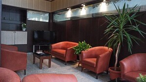 Una sala de estar moderna con sofás de cuero, una mesa de centro, un televisor y una planta grande en maceta.