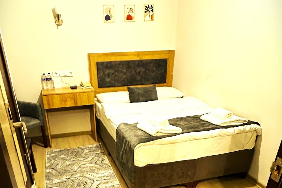 A bedroom with a bed, bedside table, and a rug.