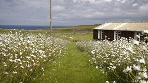 A rural landscape with a house, a grassy field with white flowers, and a distant view of the sea. - Durness Youth Hostel (Durness)