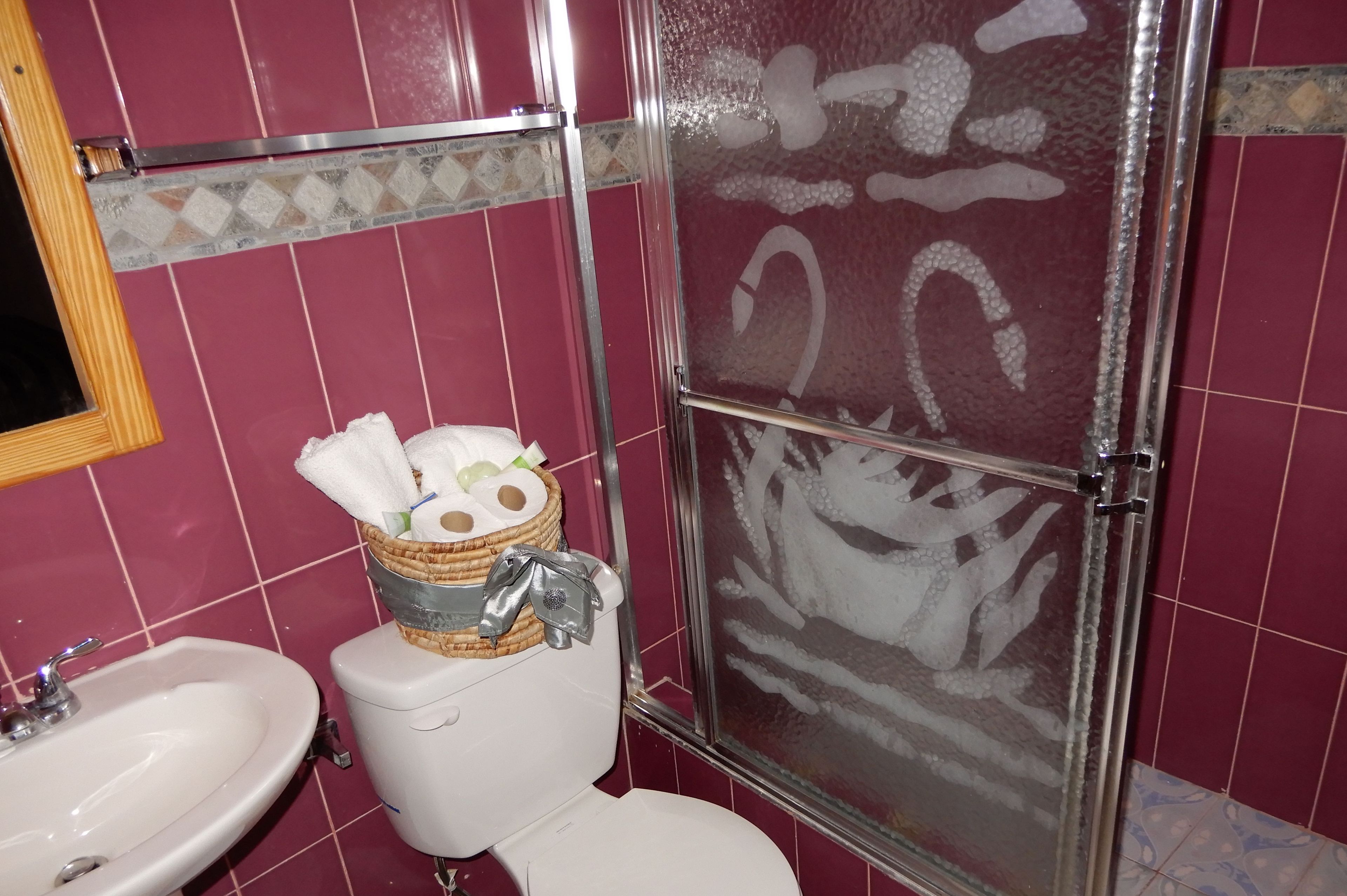 A bathroom with a white toilet, a sink, and a shower enclosure.