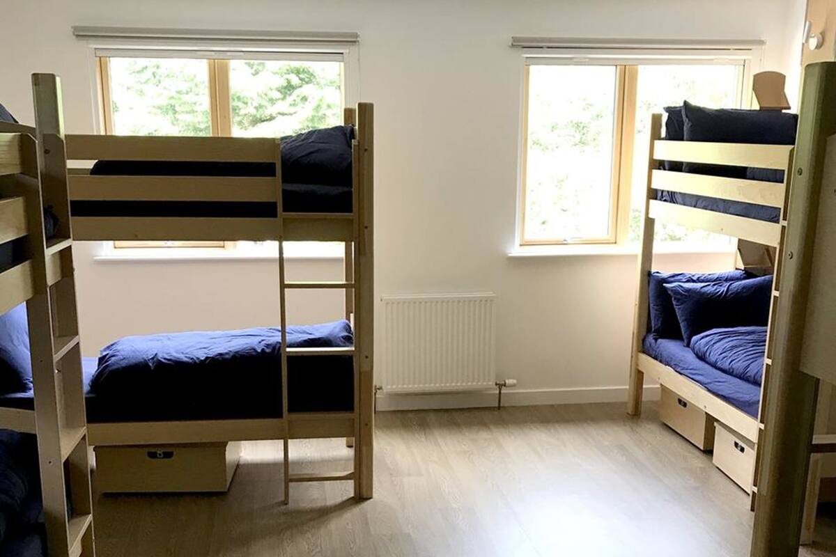 A room with bunk beds, a radiator, and windows with views of greenery.
