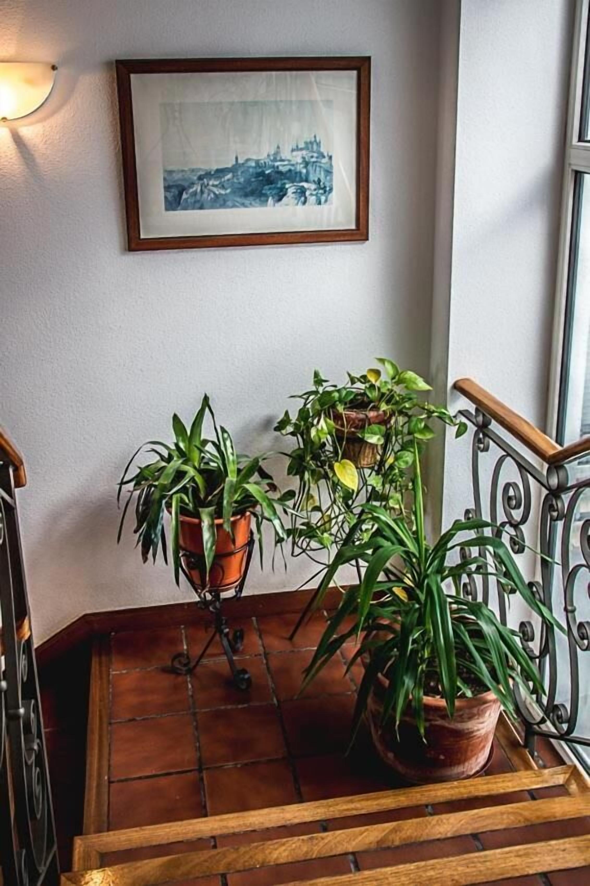 Foto - Hostal Goya II