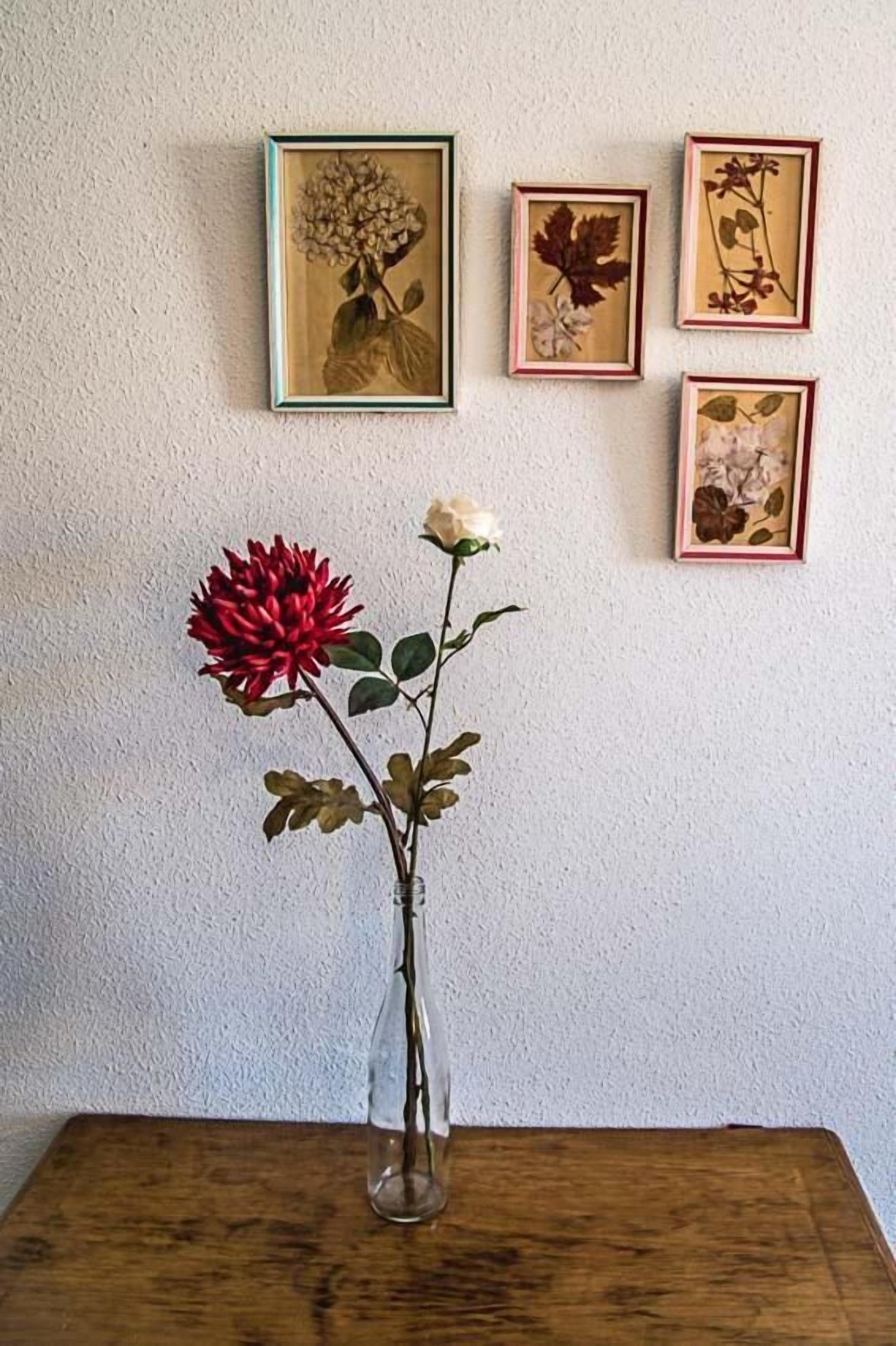 Foto - Hostal Goya II