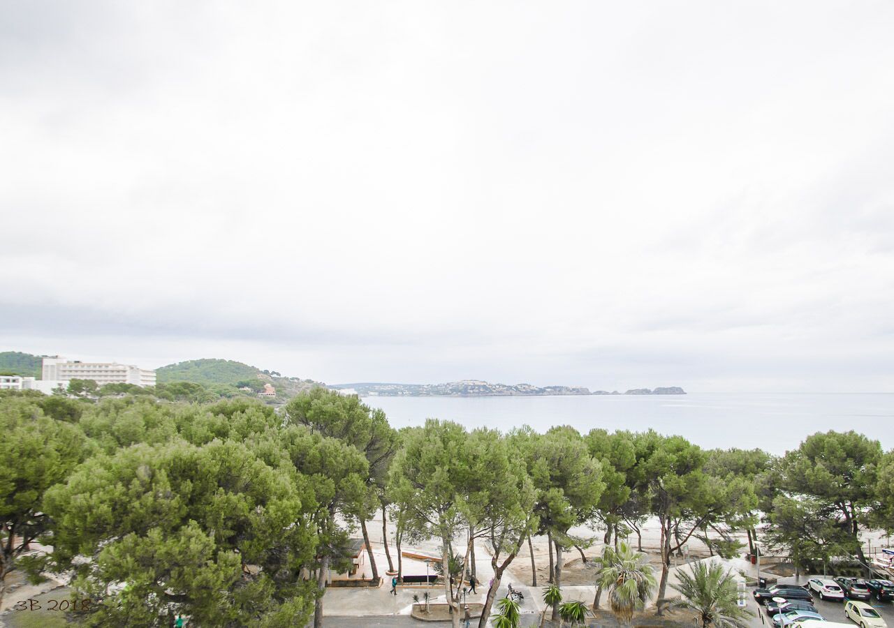 Vista costera con playa, árboles y una isla distante.