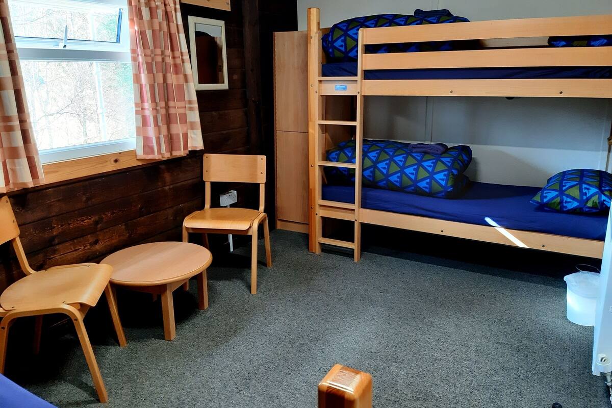 A bunk bed with a ladder, a chair, a small table, and a window with curtains.