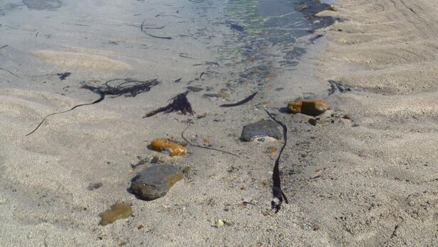 A coastal landscape with a clear water body, rocky formations, and a sandy beach. - Kirkwall Youth Hostel (Kirkwall)